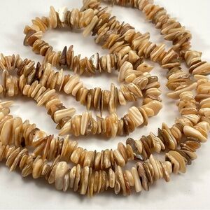 Stunning Unsigned Agate Mother of Pearl Chip Statement Long Necklace
